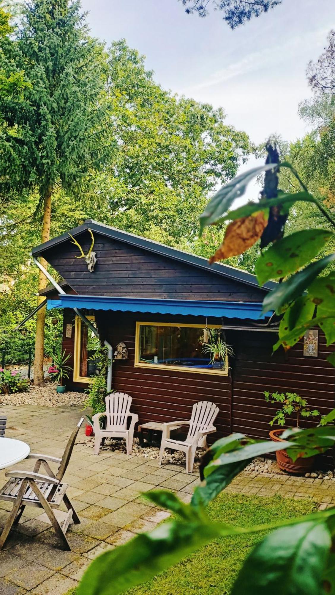 Het Houten Boshuisje Hattemerbroek Luaran gambar