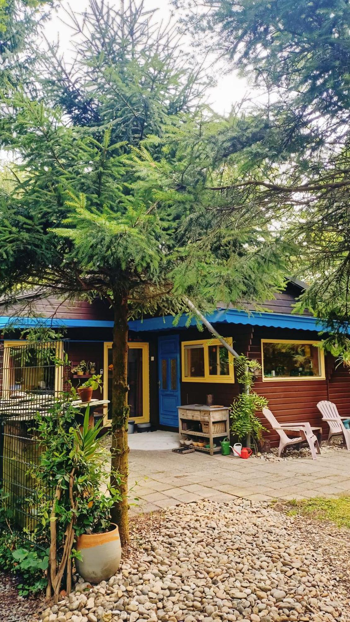 Het Houten Boshuisje Hattemerbroek Luaran gambar